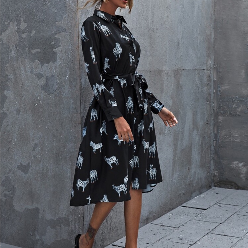 Zara Zebra Print Dress